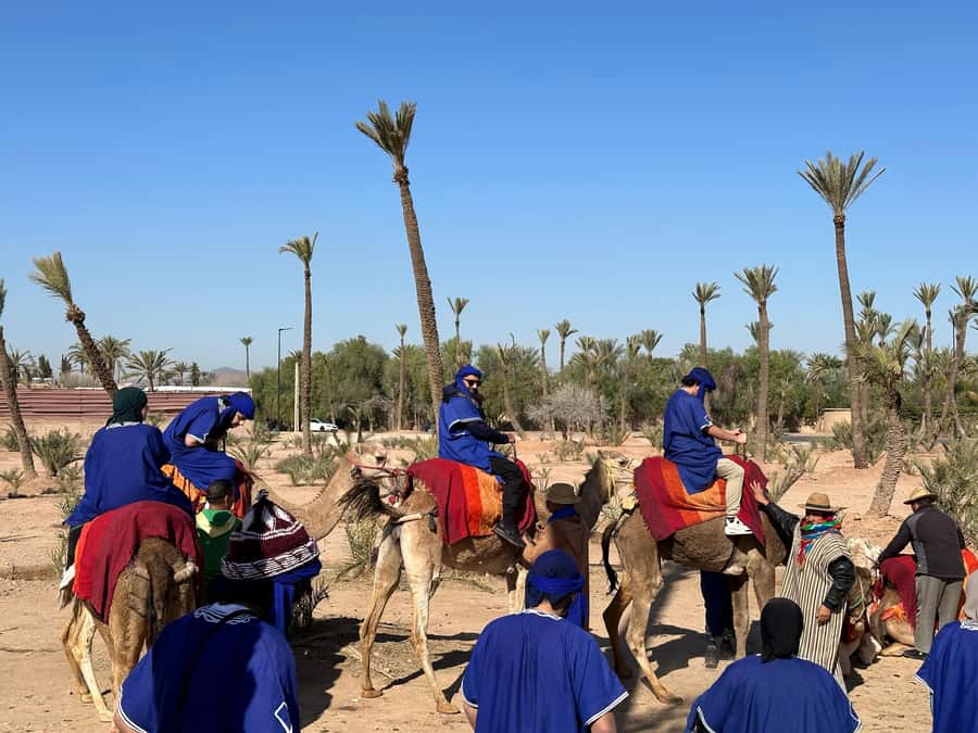 Marrakech:quad excursion at Jbilet desert with Moroccan tea - Photos, Secret Spots, and What the Guide Adds