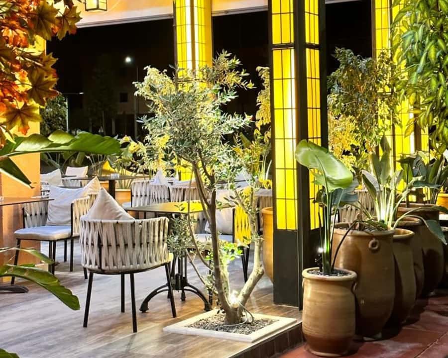 Marrakech: Restaurant Dinner Experience with Hotel Pickup - Who should book this dinner with pickup