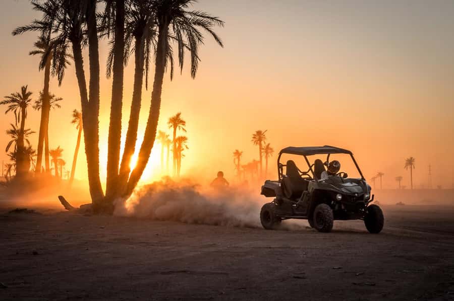 Marrakech : Ride buggy in the desert of the palm grove - Palmeraie Stop: Photos, Mint Tea, and a Scenic Reset