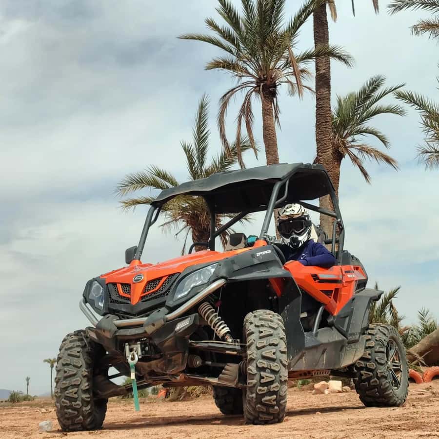 Marrakech : Ride buggy in the desert of the palm grove - Price and Value: Is $40 Fair for This Setup?