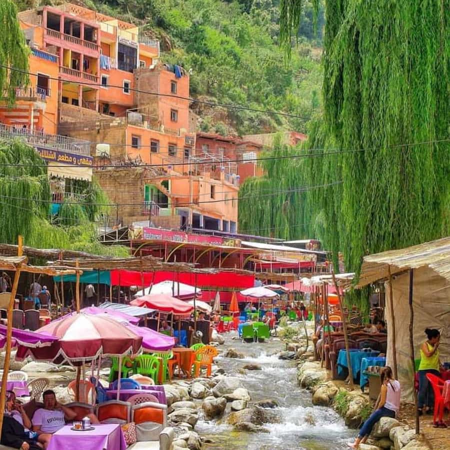 Marrakech's Atlas Adventures Ourika valley & Savory Lunch - Key highlights you can plan around