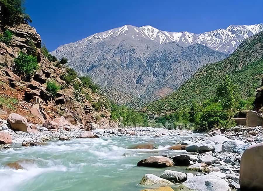 Marrakech's Atlas Adventures Ourika valley & Savory Lunch - Atlas Mountains hike: guided, safety briefings, and the monkey possibility