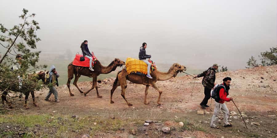 Marrakech's Atlas Adventures Ourika valley & Savory Lunch - Riverside Moroccan lunch: how to judge the value