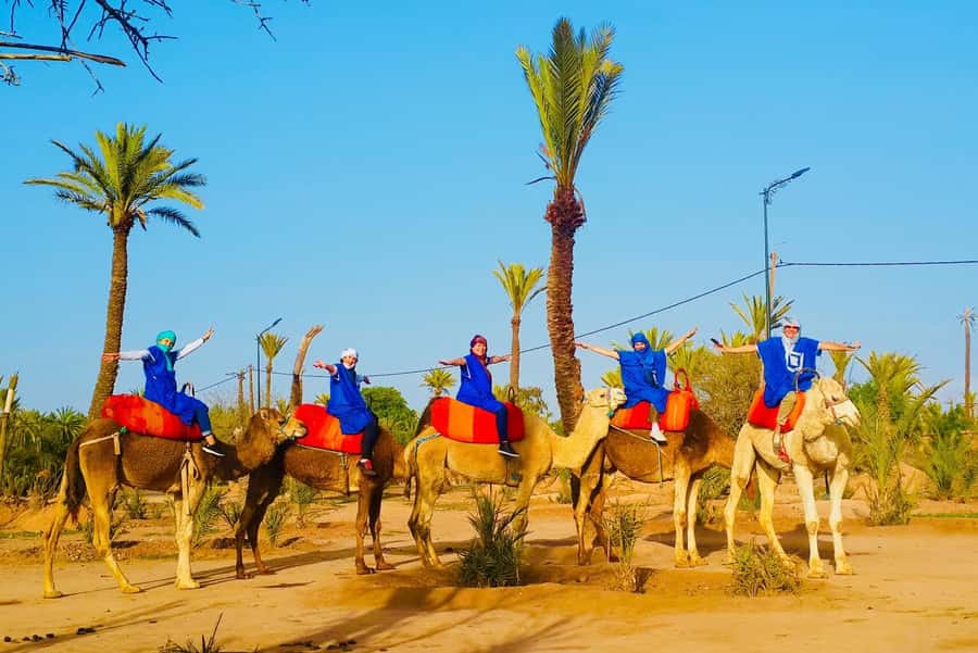 Marrakech: Sunset Camel Ride in Palmeraie - Marrakech’s Palmeraie at Golden Hour: The Big Idea