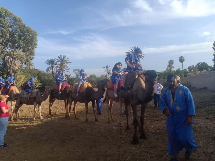 Marrakech: Sunset Camel Ride in the Palmeraie - Key points before you go