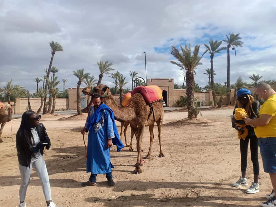 Marrakech: Sunset Camel Ride in the Palmeraie - Practical tips that help your experience run smoother