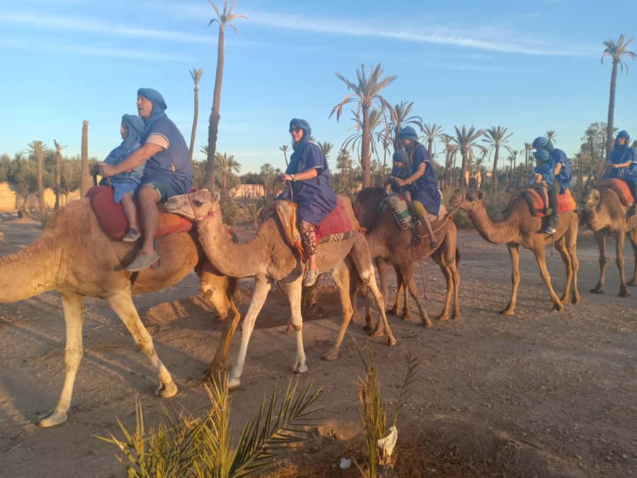 Marrakech: Sunset Camel Ride in the Palmeraie - Palmeraie at sunset: what makes this ride worth it