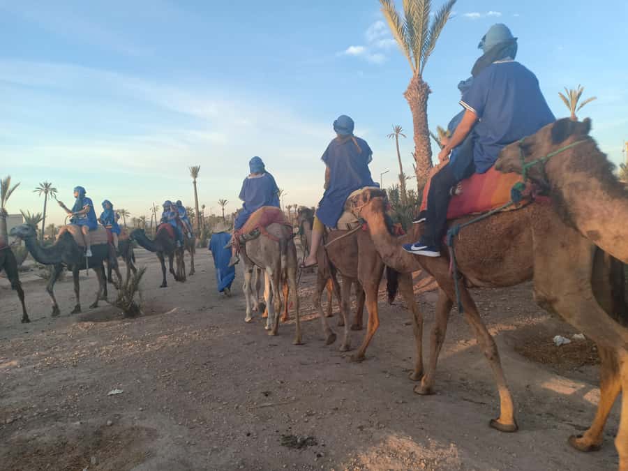 Marrakech: Sunset Camel Ride in the Palmeraie - Nomad dressing and the shesh: culture you can wear