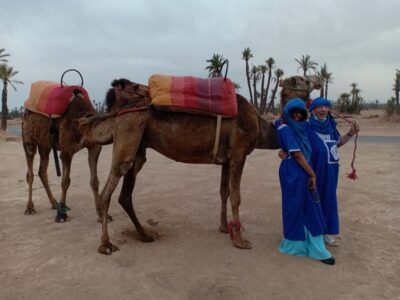 Sunset Camel Ride in the Palmeraie