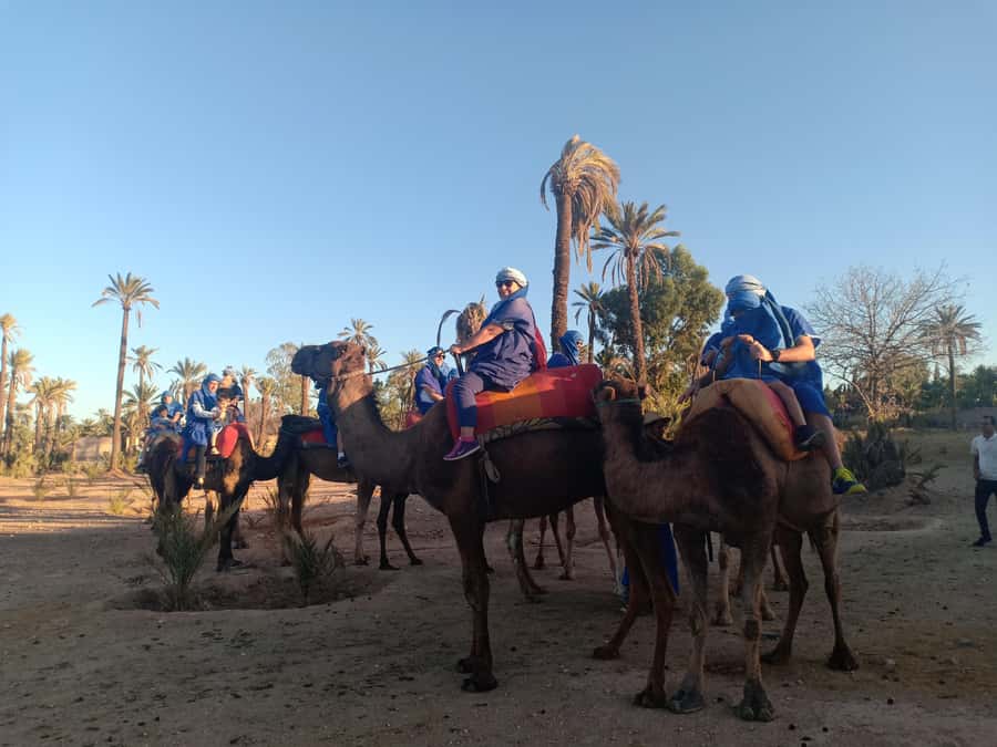 Marrakech: Sunset Camel Ride in the Palmeraie - Price and value: is $34 a fair deal?
