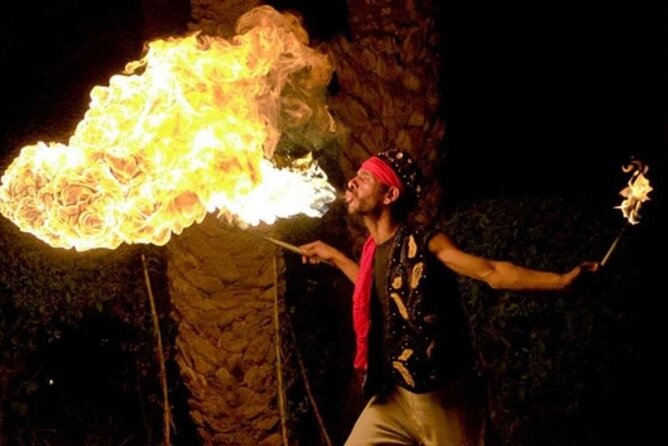 Marrakech: Sunset Dinner in Agafay Desert and camel ride - Who Should Book This Agafay Sunset Dinner and Camel Ride