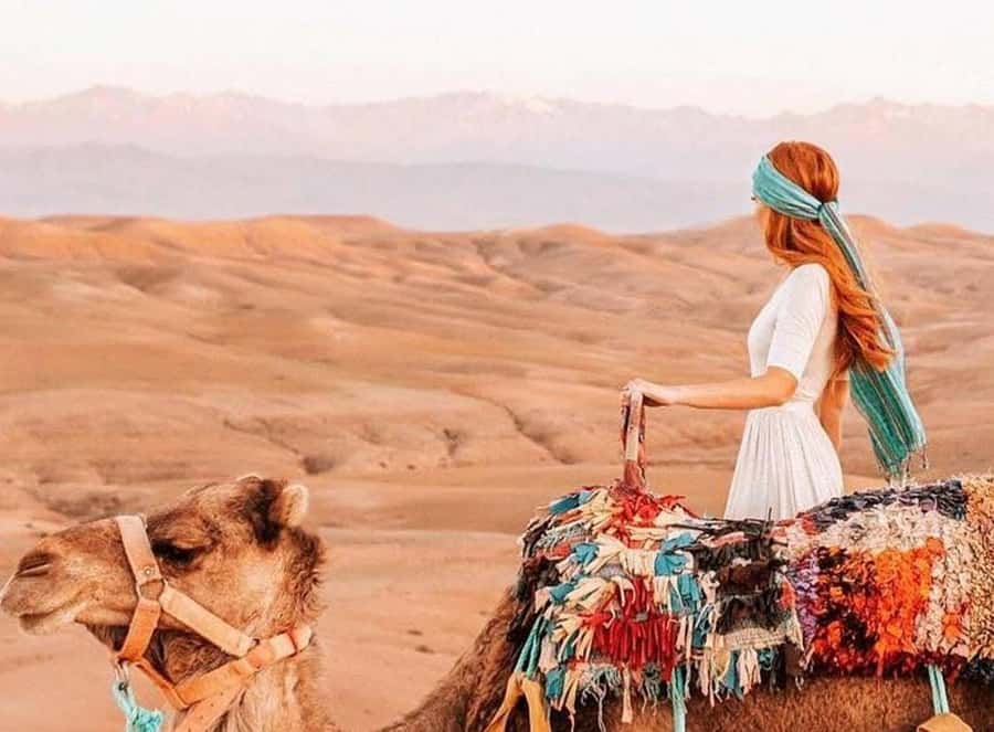 Marrakech: Sunset Dinner in Agafay Desert with Camel Ride - Argan Oil Cooperative Stop: Local Craft With No Hard Sell