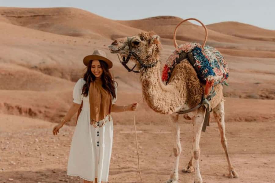Marrakech: Sunset Dinner in Agafay Desert with Camel Ride - Dinner Under the Stars: What Traditional Meals Look Like Here