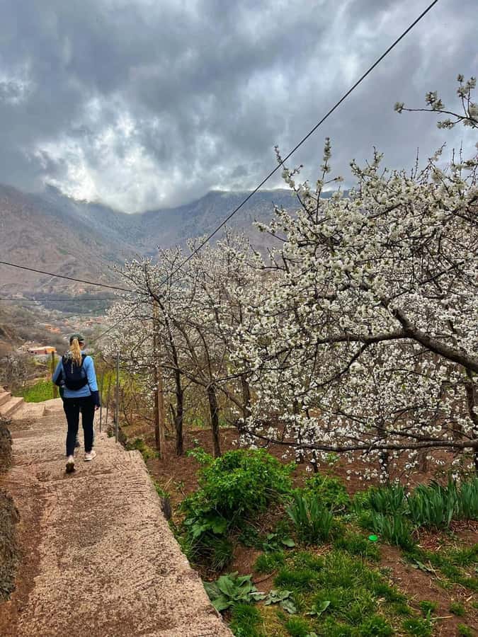 Marrakech: Tedli Summit Atlas Mountains Day Hike & Lunch - Key things you’ll remember from the Tedli Summit hike