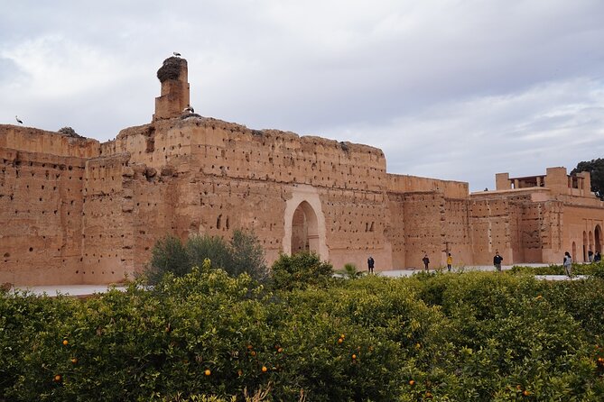 Marrakech The History and Culture Day Trip - Marrakech walking tour and the monuments-guide rule
