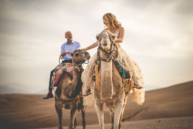 Marrakech: Three Valleys, Atlas, Camel Ride, Waterfalls, & Lunch - Key reasons this day trip works