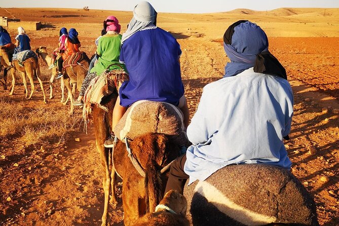 Marrakech: Three Valleys, Atlas, Camel Ride, Waterfalls, & Lunch - A High Atlas day trip that feels human-scale