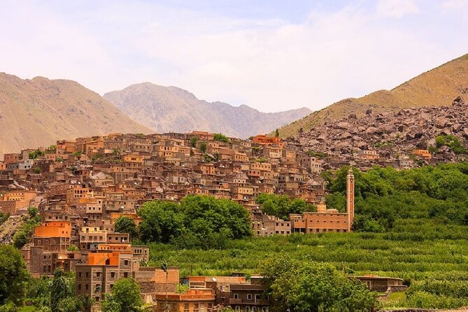 Marrakech: Three Valleys, Atlas, Camel Ride, Waterfalls, & Lunch - Argan oil and women-led production: more than a souvenir stop