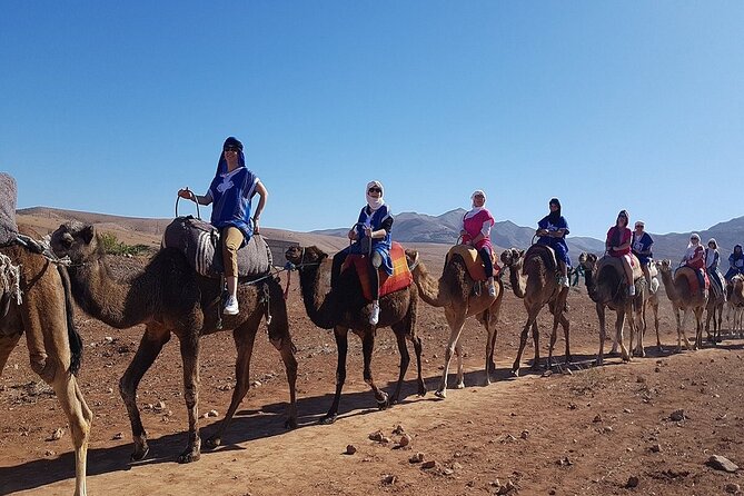 Marrakech: Three Valleys, Atlas, Camel Ride, Waterfalls, & Lunch - Imlil village and the waterfall hike: what to expect on the ground