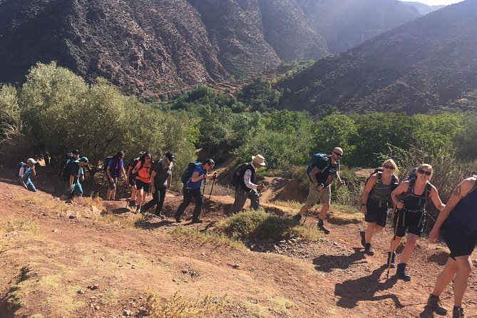 Marrakech to Atlas Mountains and 4 Valleys Day Trip - Camel ride in the Atlas area: the fun part, the practical part
