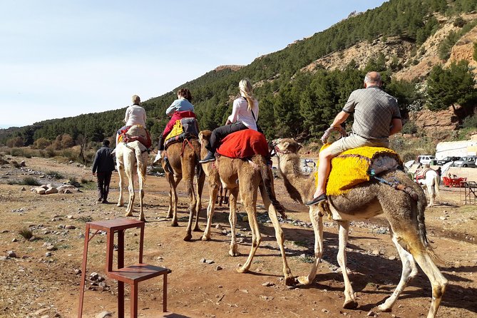 Marrakech to Atlas Mountains and 4 Valleys Day Trip - Price and value: what $92.92 gets you in real terms
