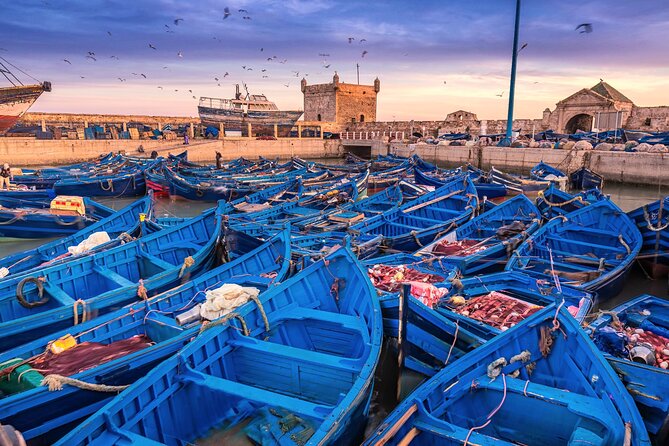 Marrakech to Essaouira: Day of Discovery Along Morocco Coastal - Key highlights you actually feel