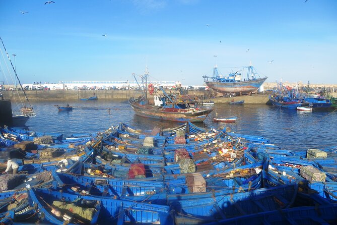 Marrakech to Essaouira: Day of Discovery Along Morocco Coastal - 4 hours of free time in Essaouira: how to spend it smart