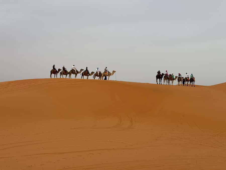 Marrakech To Fes: 3-Day Majestic Desert Sahara Tour - Comfort on the road and what to pack for desert nights