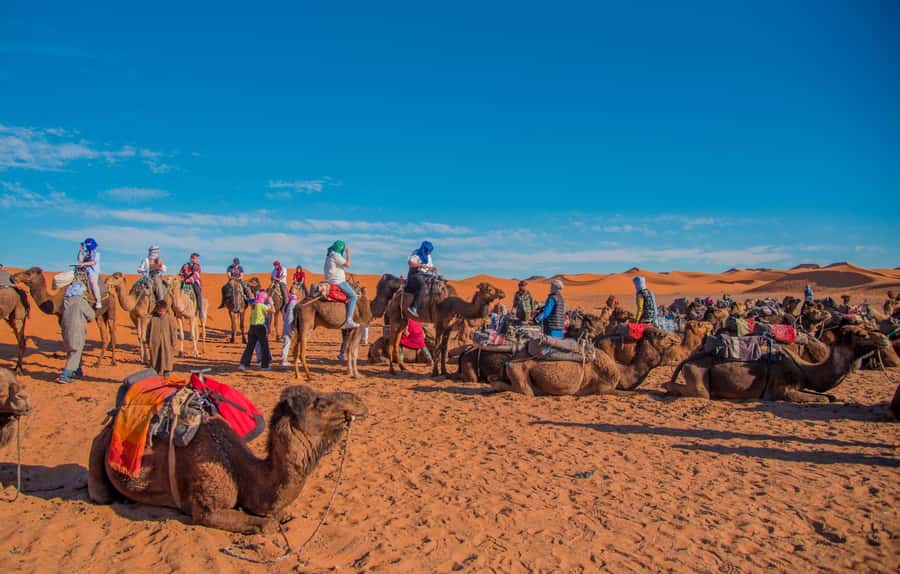 Marrakech to Fes: 3-Day Merzouga Desert Camel & Sandboarding - Key Things I’d Prioritize on This Marrakech to Fes Desert Tour