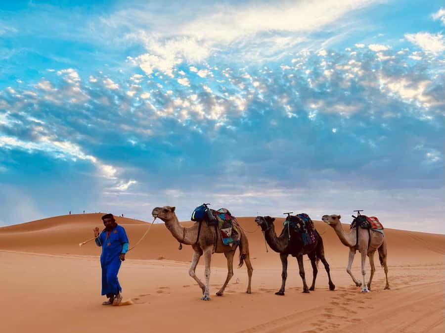 Marrakech to Fes: 3-Day Sahara Desert Tour & Camel Ride - Todra Gorge: 300-meter cliffs make the river feel important