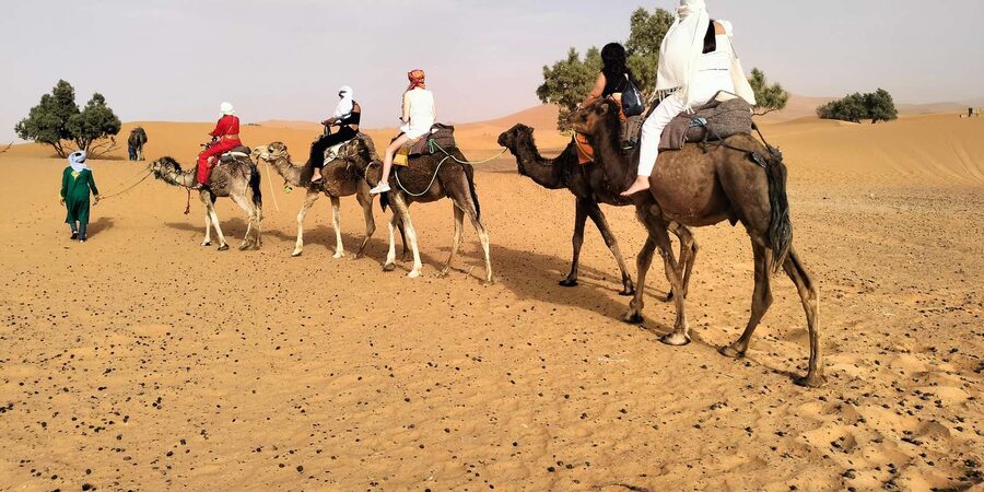 Marrakech to Fes 3 Days Sahara Desert Tour With Camel & Quad - Day 3: sunrise, quad ATV return, Ziz Valley palms, and the road to Fez