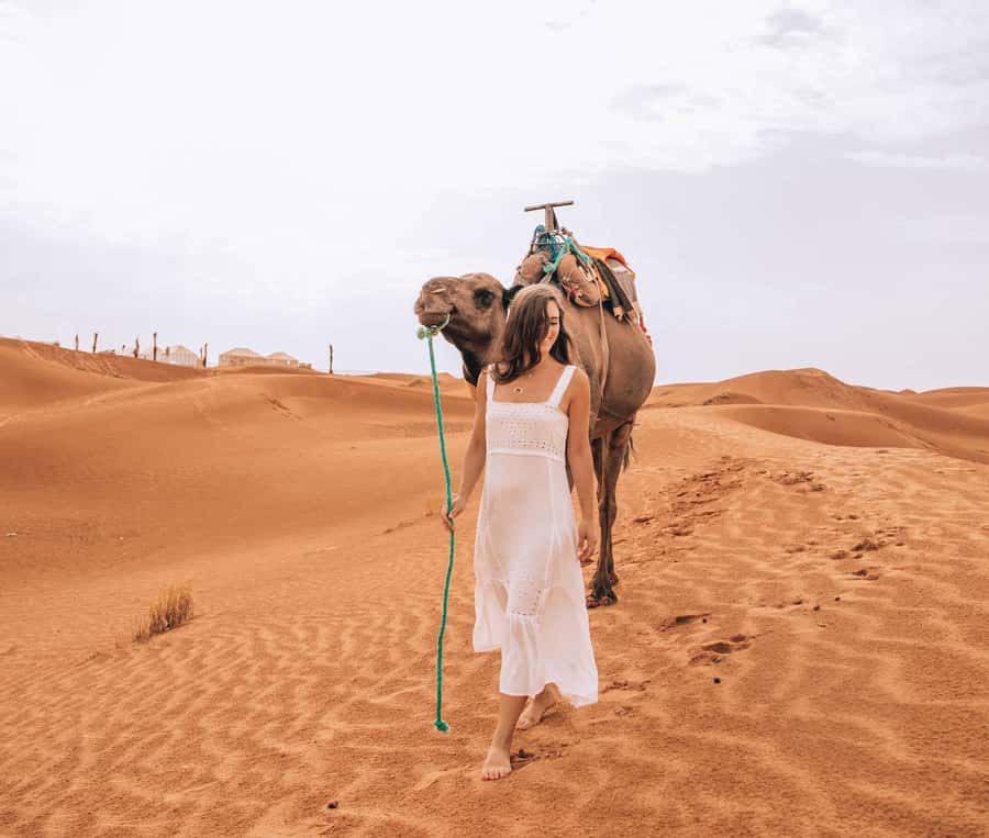 Marrakech to Fes: Quad, Dinner, Camel, 3-Day Desert Tour - How the Marrakech to Fes route actually feels