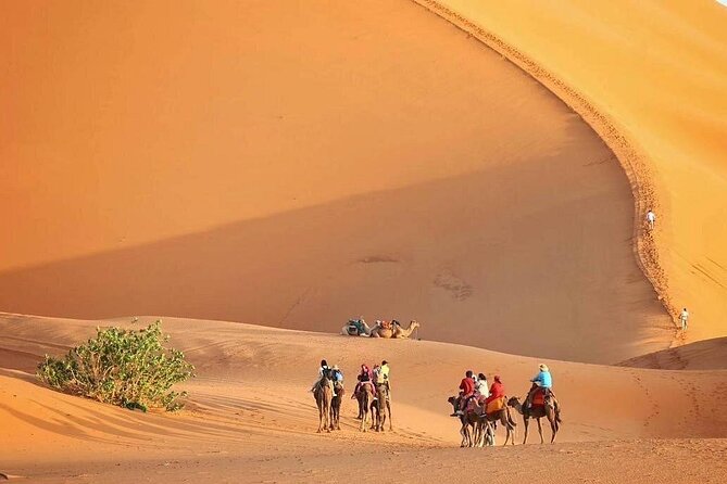 Marrakech to Fez via Merzouga Desert 3-Days | Marrakech-to-Fes - Key highlights at a glance