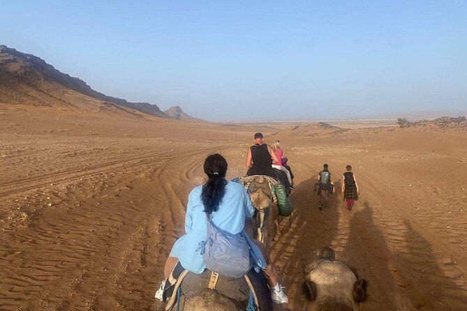 Marrakech to Fez via Merzouga Desert 3-Days | Marrakech-to-Fes - Day 3: Sunrise dunes, Ziz Valley palms, and arriving in Fez