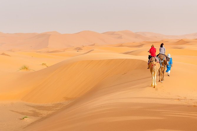 Marrakech to Fez via Merzouga Desert 3-Days Sahara Tour - Ait Ben Haddou UNESCO Kasbah and the Film-Set Factor