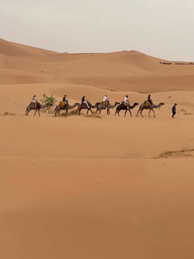 Marrakech To Merzouga : 3-Day Dreams Tours & Luxury Camp - Who this tour suits best, and who should think twice