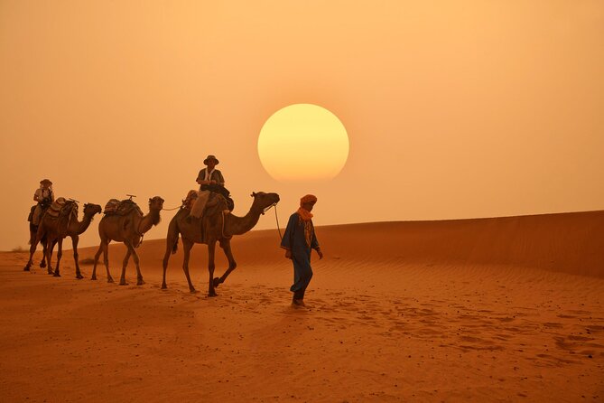 Marrakech to Merzouga Desert 3-Day via the High Atlas Mountains - Price and value: what $127.45 buys you (and what it does not)