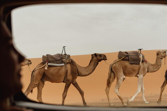 Marrakech To Merzouga Tour - Key Points to Know Before You Go