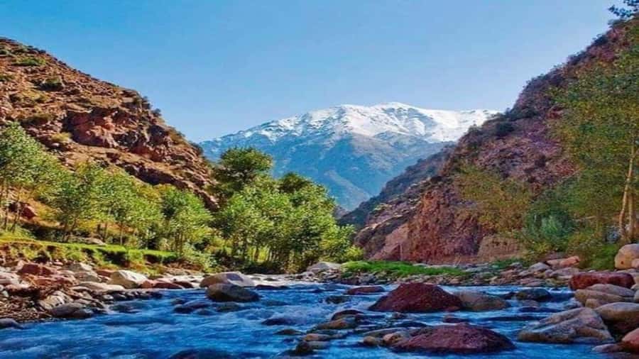 Marrakech to Ourika Valley-Scenic Day Tour Lunch & Waterfal - First, The Big Picture: Why This Ourika Day Trip Works