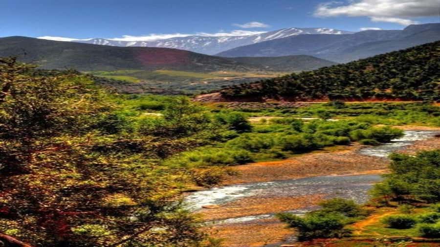 Marrakech to Ourika Valley-Scenic Day Tour Lunch & Waterfal - Lunch by the River: When You Need the Pause