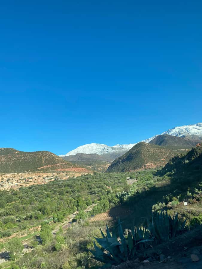 Marrakech to Ourika Valley-Scenic Day Tour Lunch & Waterfal - Time to Stroll, Browse, and Breathe