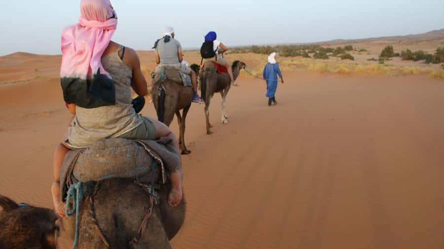 Marrakech to Zagora:2-Day Luxury Sahara Tour with Camel Ride - Who should book this Marrakech to Zagora tour