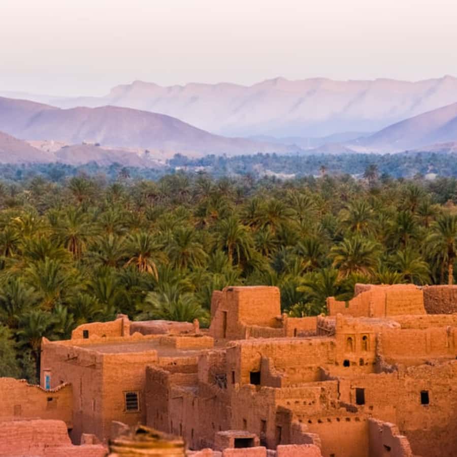 Marrakech to Zagora:2-Day Luxury Sahara Tour with Camel Ride - Day 2: sunrise from camp, camel ride back, and the drive home