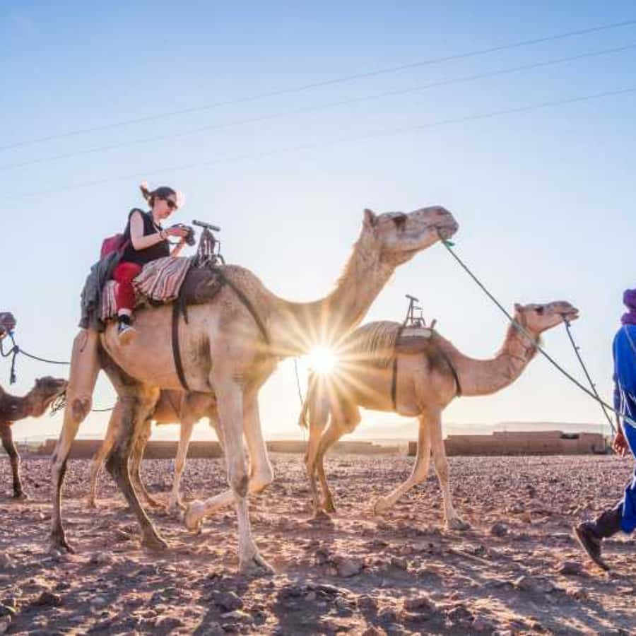 Marrakech to Zagora:2-Day Luxury Sahara Tour with Camel Ride - Value and price: what you’re getting for $56