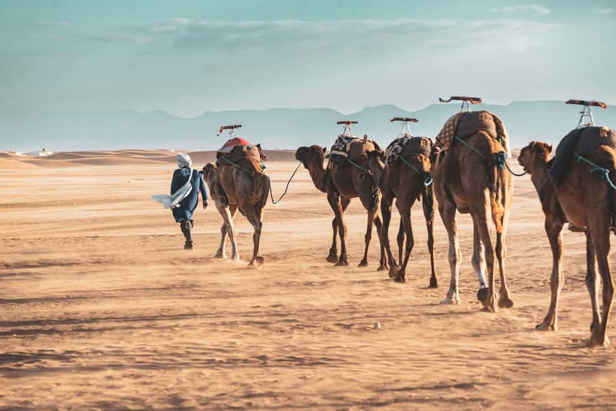 Marrakech to Zagora Desert: 2-Day trip via Ait Benhadou - Marrakech to Zagora: why this 2-day desert camp feels worth it