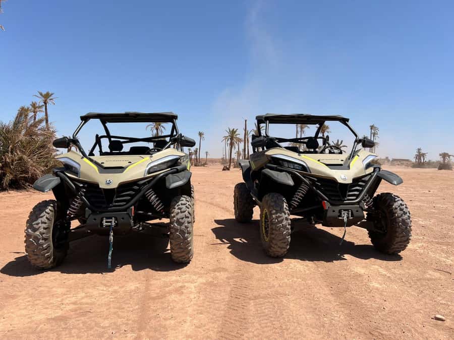 Marrakech: Tour Buggy 1000cc In Palm Oasis and Jbilat Desert - How the buggy tutorial sets you up for real off-road fun