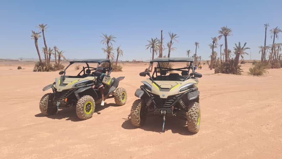 Marrakech: Tour Buggy 1000cc In Palm Oasis and Jbilat Desert - Palmeraie palm oasis, photos, and tea in a traditional setting