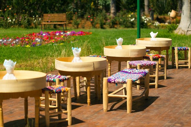 Marrakech Tour Gardens Majorelle, Menara & Anima Gardens - A calm garden day that cuts through Marrakech chaos