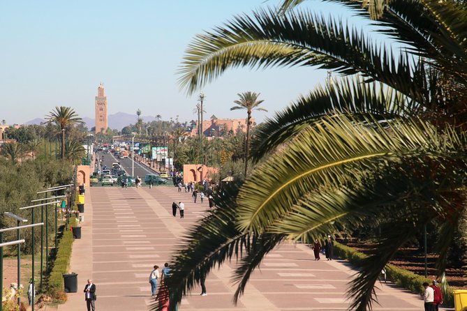 Marrakech Tour Gardens Majorelle, Menara & Anima Gardens - FAQ