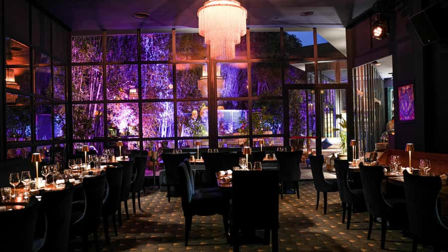Marrakech: Vibrant Dinner Show at The Lotus Club - Your meal choice locks in, Moroccan Escape vs International Escape